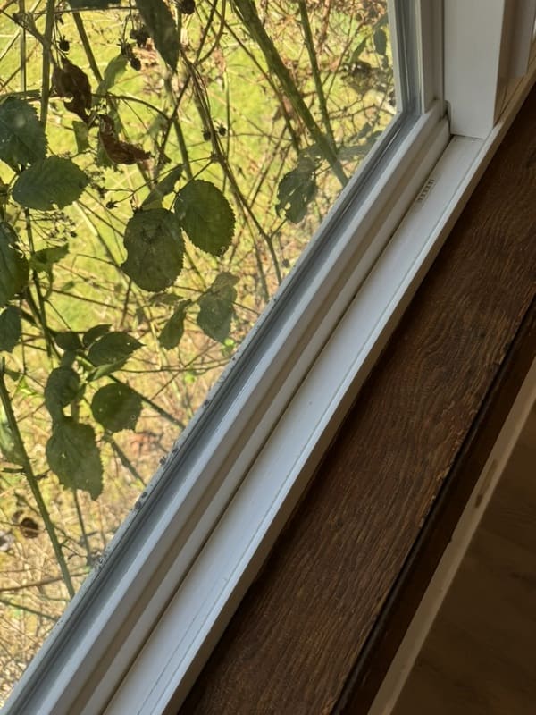 renovation cleaning services