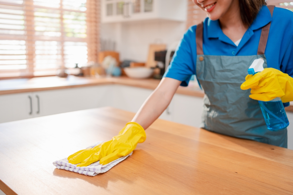 recurring cleaning service